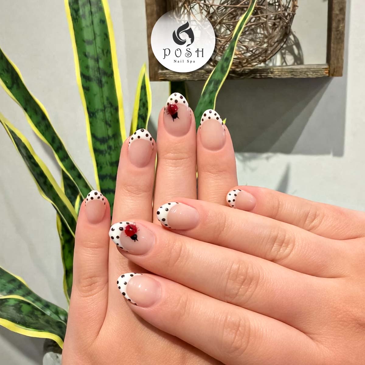 Posh Nail Spa - Trenholm Plaza logo